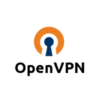 Débit OpenVPN